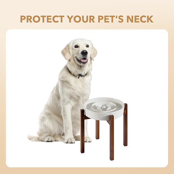 Havniva Elevated Slow Feeder Dog Bowls, 3.2 Cups Raised Ceramic Dog Food Bowls with Acacia Wood Stand, 9.5 inch Slow Feeder for Large Dogs Puzzle Bowls for Fast Eater Anti-Choking