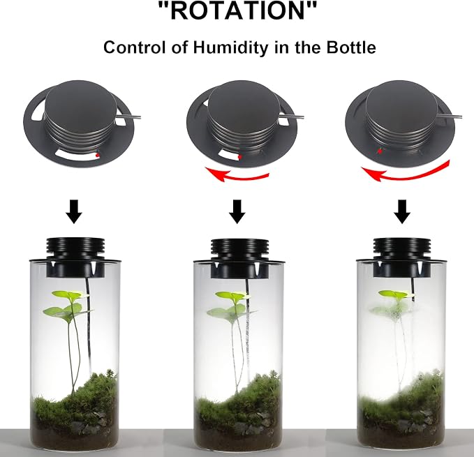 AREPK Glass Terrarium Plant Grow Light with Timer for Vases, 5.9-Inch Lamp | Auto On/Off Timer; Suitable for Glass Terrariums, Betta Fish Tanks, Succulents, Moss, Indoor Plants and Mini Landscapes