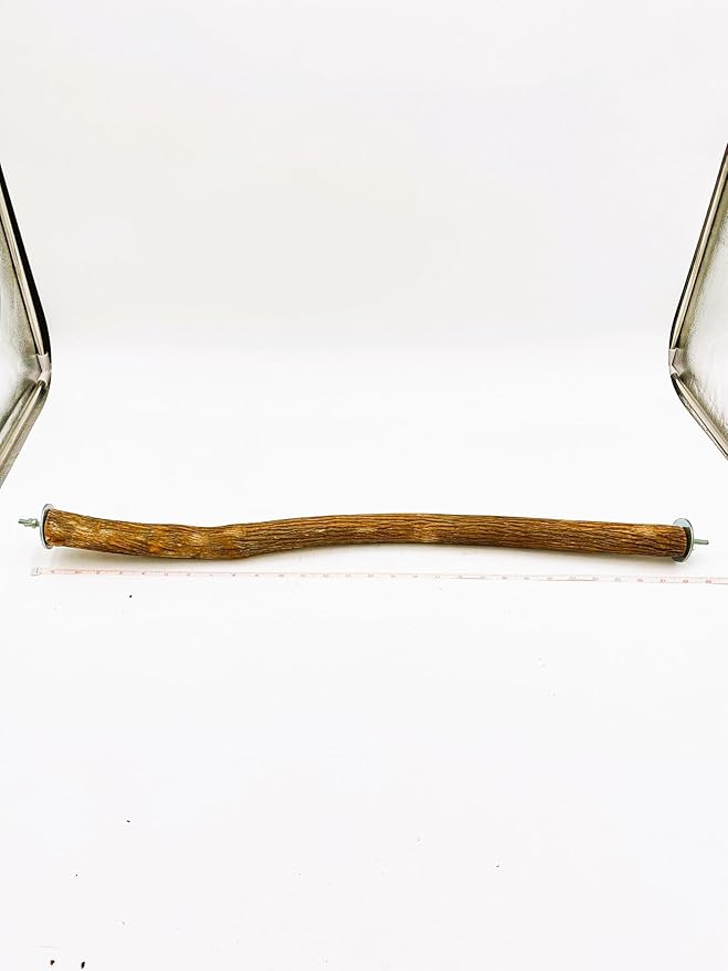 Polly's Full Length Hardwood Bird Perch, 28-Inch