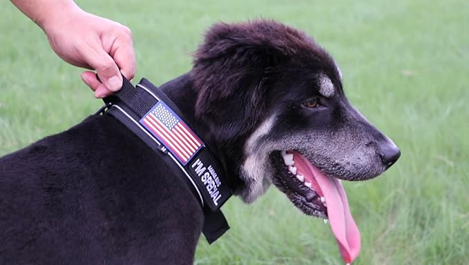 2.5" Tactical Dog Collar for Large Dogs, Adjustable Heavy Duty Military Nylon Dog Collar with Reflective Stitching & Padded Handle for Hiking/Running/Training (Black, L,XL)