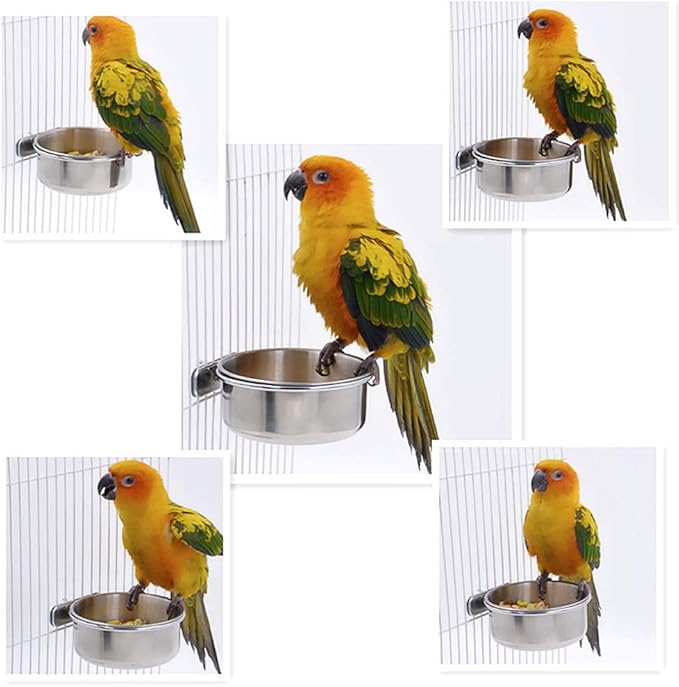Bird Parrot Feeding Cups with Clamp Holder Stainless Steel Coop Cup Food Water Bowls Dish Feeder for Cockatiel Conure Parakeet Chinchilla Hummingbird