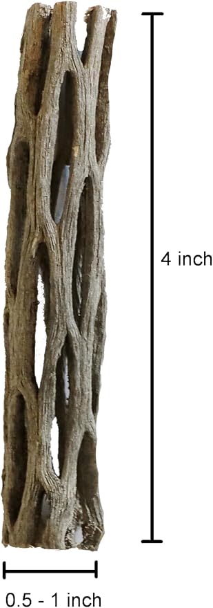 Natural Cholla Wood for Aquarium Decoration Shrimp and Fish Tank (4 Inch (3 Pack))
