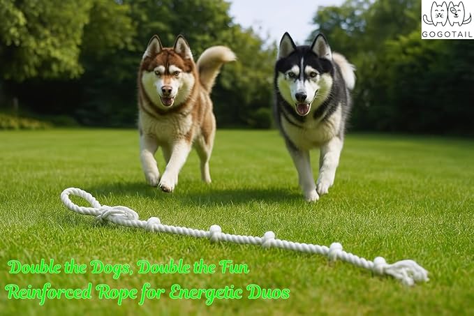 51" Extra Long Dog Rope Tug Toy with Loop Handle – 6-Knot Cotton Rope for Training, Tug-of-War & Interactive Play, Durable for Medium & Large Dogs, Indoor & Outdoor, Washable, White