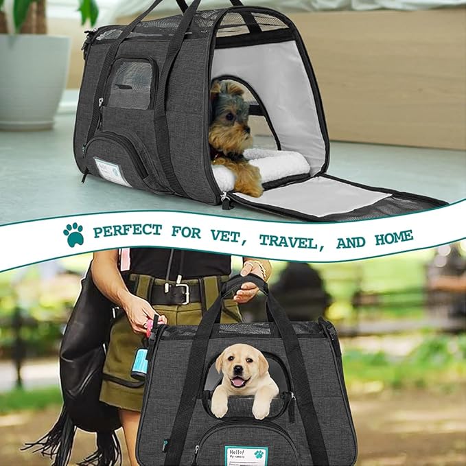 PetAmi Premium Airline Approved Soft-Sided Dog and CAT Travel Carrier, Charcoal, Small
