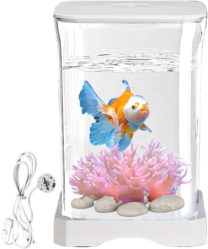 Small Fish Tank - LED Aquarium, Acrylic Mini Bowl with Feeding Hole, Compact Betta Container, Clear Stylish Design | Home Office Decoration, Desktop Display, Bedroom Aquarium, Small Aquatic Habitat