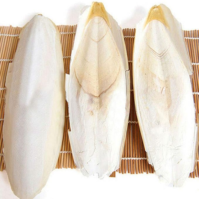 Acxico 10 pcs Cuttlefish Bones Pet Molars, Cuttlefish Bones, 8-10cm