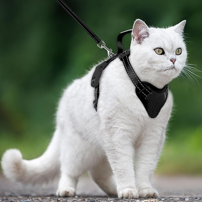 Cat Harness and Leash Set Escape Proof for Kitten Walking, Soft Adjustable Top Handle Vest Harnesses for Cats, Easy Control Breathable Reflective Small Medium Large, Black, M