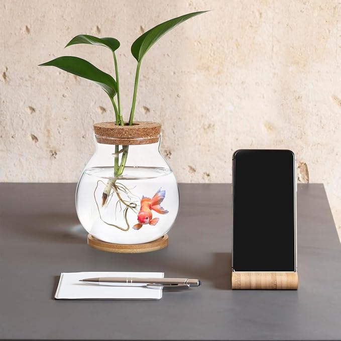 Desktop Hydroponic Fish Bowl Glass Terrarium for Betta Fish with Bamboo Base Small Aquarium for Home Office Decoration
