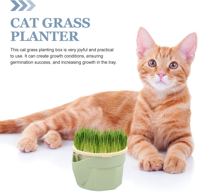 POPETPOP Cat Grass Hydroponic Planting Cup Soilless Catnip Box with Double-Layer Design Easy to Clean Household Cat Plant Pot 3.93X3.54X2.48 Inch