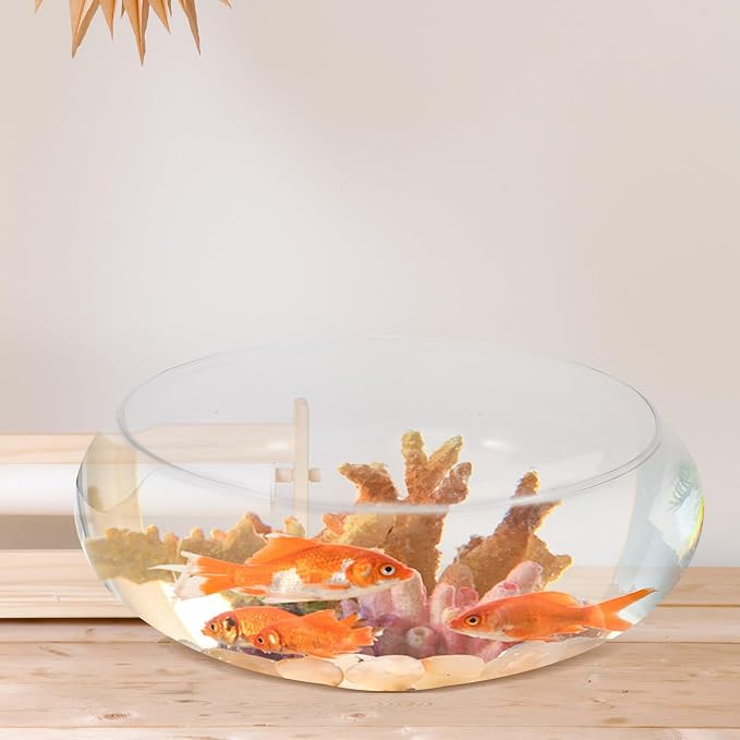 Sewroro Glass Fish Bowl Small Fish Tank Desktop Aquarium for Goldfish Clear Hydroponic Plant Pot Shallow Glass Bowl for Home Office Garden Wedding Anniversary Birthday Decor