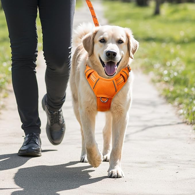 BARKBAY No Pull Dog Harness Large Reflective Dog Harness with Front Clip and Easy Control Handle for Walking Training Running with ID tag Pocket(Orange,XL)