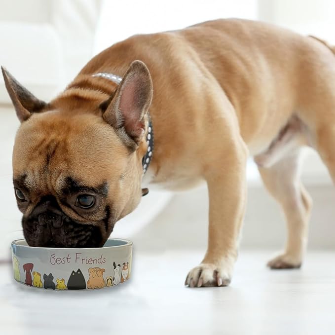 SPOT Best Friends Pet Food Dish - Food or Water Ceramic Bowl for Pets, Ideal for Small Dogs, Dishwasher Safe, 1.75 Cups (14oz) Capacity - 5in, Light Grey