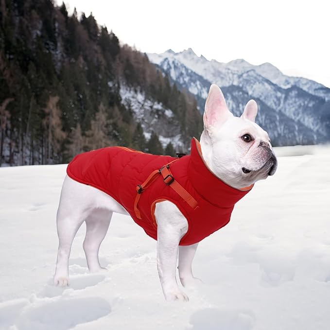 Geyecete Winter Warm Coat Waterproof Dog Winter Jacket with Harness Traction Belt,Windproof Pet Outdoor Jacket Dog Autumn-Red-S