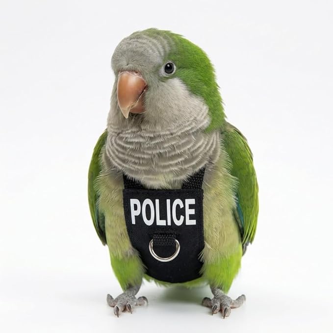 Bird Diaper Flight Suit, Cute Cosplay Parrot Clothes, Easy-to-Wear Washable Nappy, Durable Metal Ring Harness for Cockatiel, Conure, African Grey, Parakeet Outdoor Flying (with Leash,XS)