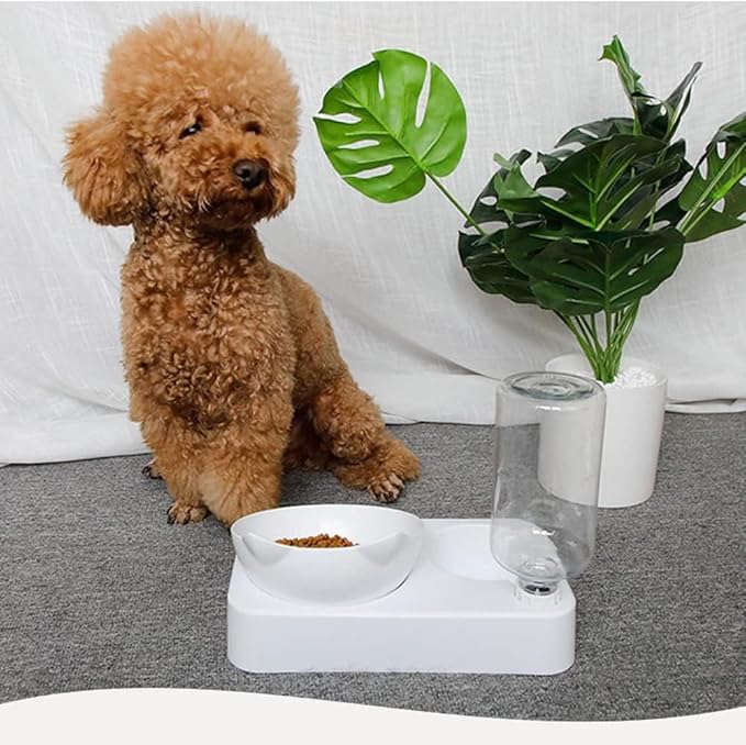 Marchul Cat Bowls, Pet Food Bowls, 15ยฐ Tilted Cat Bowl for Indoor Cats, Dog Food and Water Bowl Set (with Silicone Mat)