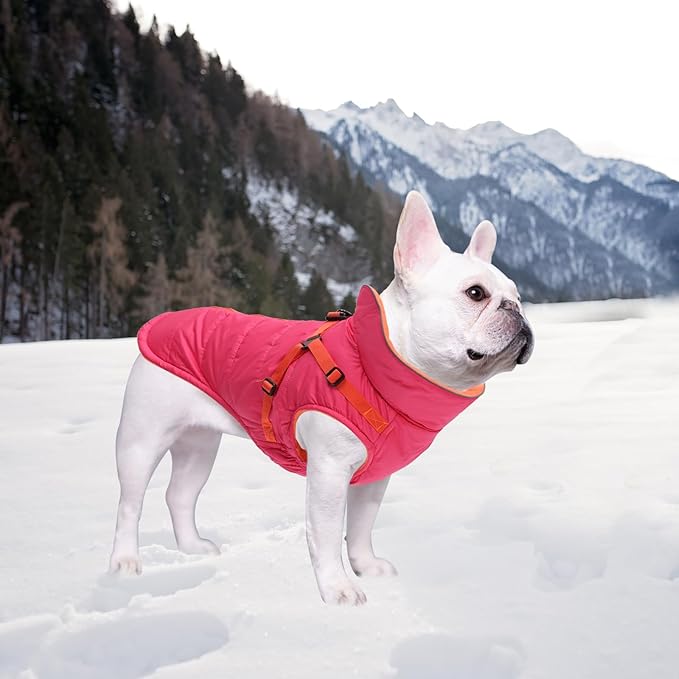 Geyecete Winter Warm Coat Waterproof Dog Winter Jacket with Harness Traction Belt,Windproof Pet Outdoor Jacket Dog Autumn-Pink-M