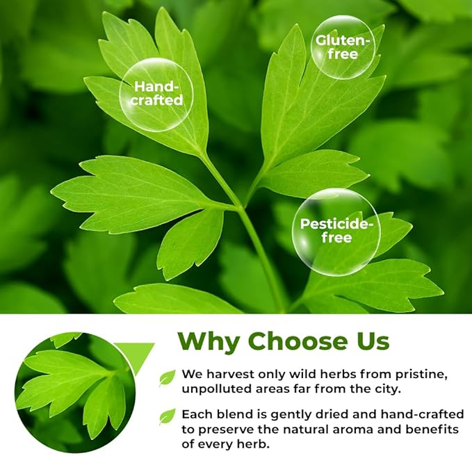 4 oz. Dried Lovage Herb Lovage Leaves Herbal Tea (Levisticum Officinale) - 113g Herb Tea Levísticum