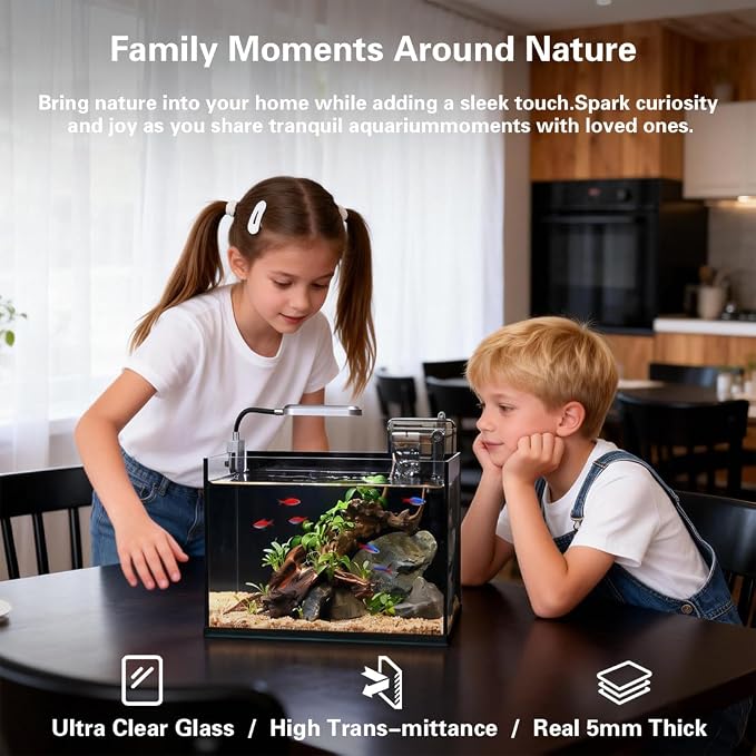 2.8 Gallon Glass Fish Tank,Small Fish Tank with Light and Filter | Aquarium Starter Kit,Nano Shrimp Aquarium for Small Fish, Shrimp,or Betta,Desktop Corner