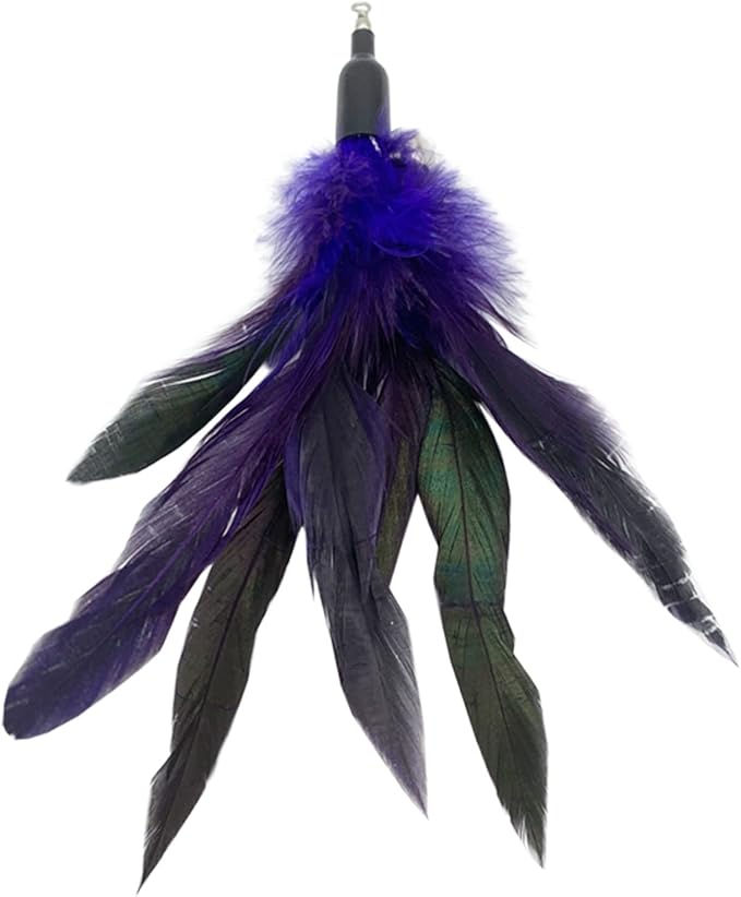 CATENESS Cat Feather Toys Refills, 10 Pieces Cat Wand Replacement Feathers Toy for Indoor Cats