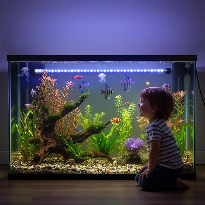 Dirvin LED Fish Tank Light with Timer, 24/7 Mode & 3 Color Aquarium Light | Submersible Adjustable Brightness, IP68 Waterproof, Sunrise-Daylight-Moonlight, Auto On/Off for fresh and salt water, 11W