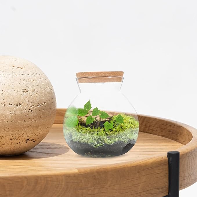 Hemobllo Small Fish Tank with LED Light, High Borosilicate Glass Betta Fish Tank for Desktop, Mini Aquarium Kit for Micro Landscape, 1 Gallon Ecological Bottle with Wooden Lid for Office