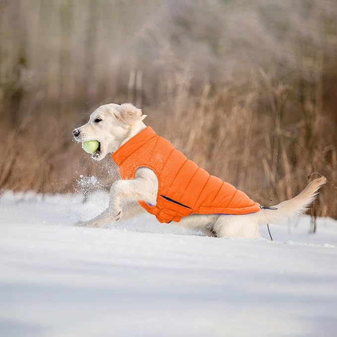 Lelepet Reversible Dog Coat Waterproof Dog Jacket Windproof Puffer Vest for Winter Warm Lightweight Coats for Large Dogs Adjustbale Hook & Loop Pet Apparel with Leash Hole, Boxer, Weimaraner, 2XL