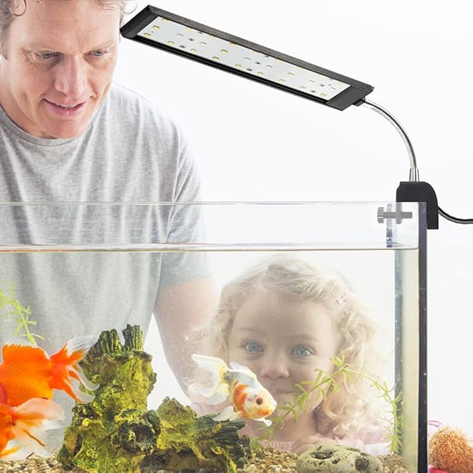 DaToo Aquarium Light Small LED Clip Light for Fish Tank 10W, 1 Yr Warranty