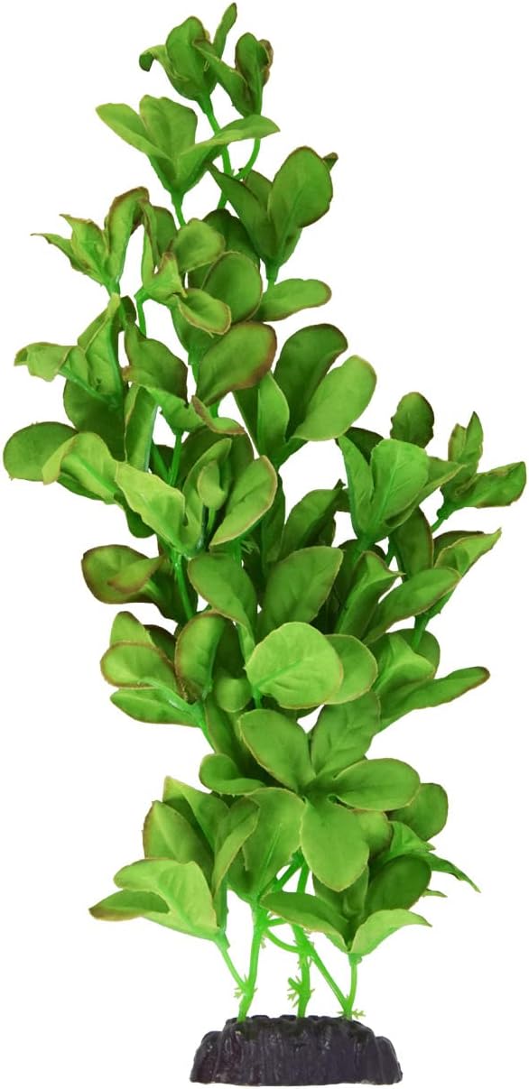 Underwater Treasures Silk Bacopa Monnieri - 12"