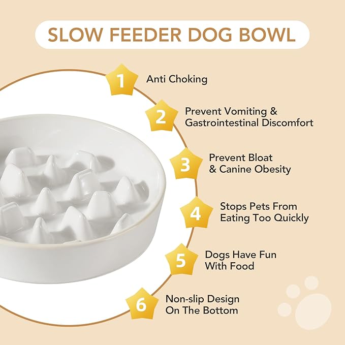Havniva Slow Feeder Dog Bowls, 3.2 Cups Ceramic Dog Food Bowls 9.5 inch Slow Feeder for Large Dogs Puzzle Bowls for Fast Eater, Pet Slow Feeding Dish Anti-Choking