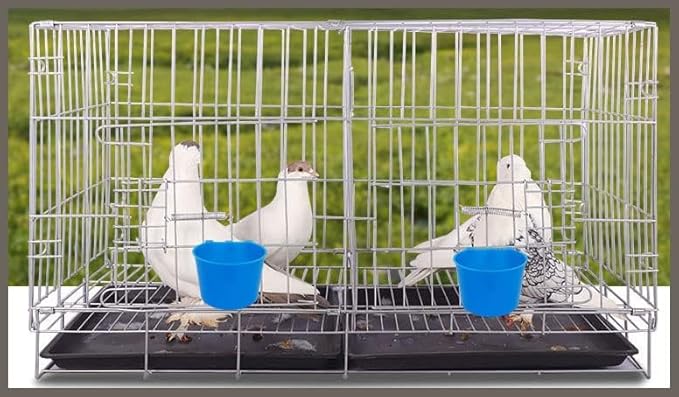 Pack of 20 Chicken Feeder Cups for Cage Hanging Bird Waterer 8 OZ Rabbit Water Food Bowl Pigeon Feeding Dishes Bunny Poultry Coop Drinker Quail Seed Treats Dispenser Duck Drinking Bottle