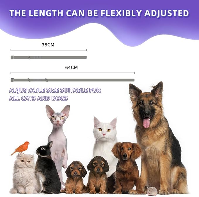 Calming Collar for Cats with Pheromone Technology, Waterproof, Lasts up to 4 Weeks, Fits Cats, Purple, 15 Inch Length