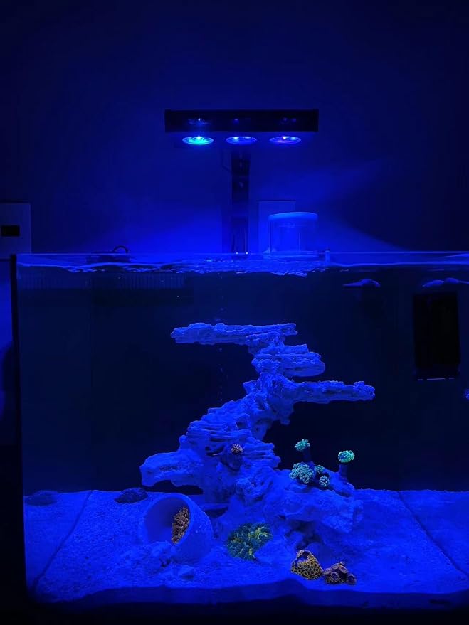 Aquarium Light 30W Reef Light for Coral SPS LPS Saltwater Light | 2 Channels Dimmable, Built-in Timer, Sunrise Sunset, Moonlight Mode, Fits 10-24 Inch Saltwater Reef Marine Fish Tank