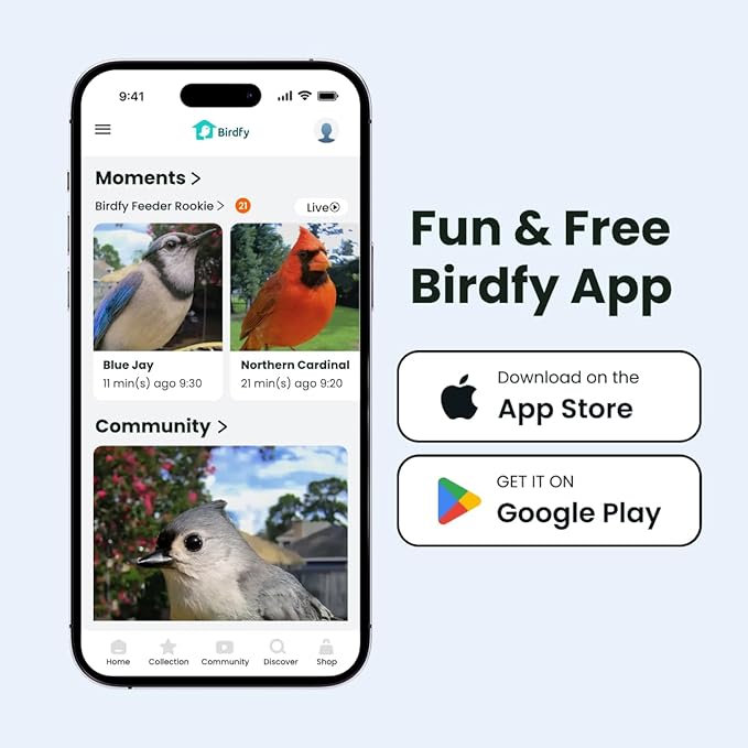 Birdfy Smart Bird Feeder with Camera for Rookie, Camera Bird Feeder Dual Night Vision, AI Recognition IP66 Waterproof for BirdLovers