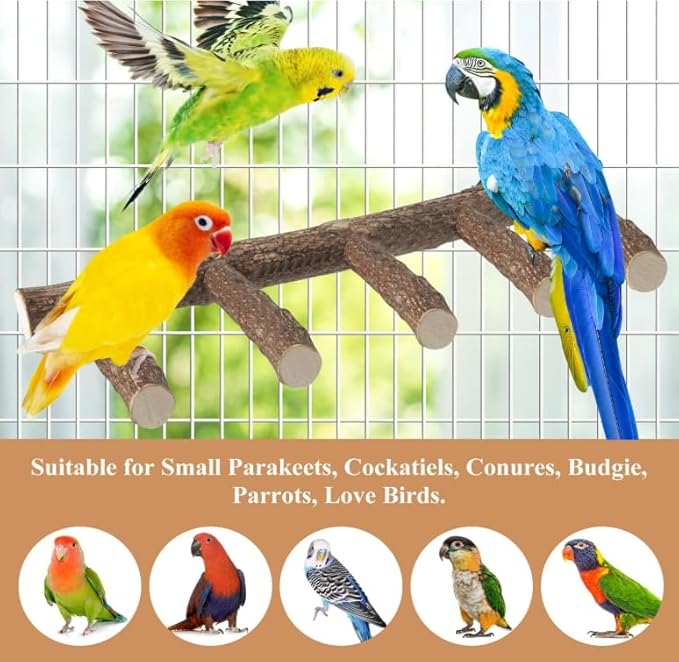 2Pcs Parrot Wood Stand, 12.2Inch Length Parrot Perch for Cage, Natural Bird Ladder for Small Medium Parrots, Parakeets, Cockatiels, Conures, Hamster