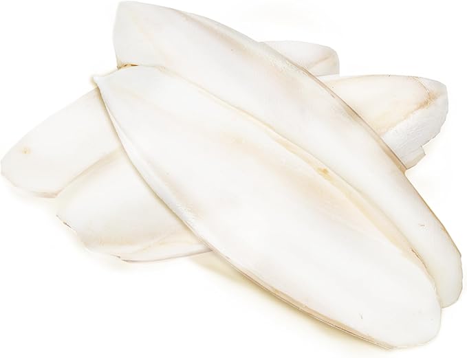 SunGrow 4 Pack Large 6-inch Cuttlefish Bones for Cockatiels, Turtles, Shrimp, Calcium for Beak Trimming, Cuddle Bone for Sharp Beaks, Calcium Block Stone for Egg-Laying Birds