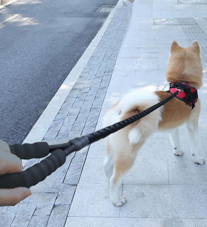Black Dog Leash, 6 FT Heavy Duty Rope Dog Leash with Padded Handle Strong Nylon Reflective Leads for Medium Large Dogs, Training, Walking (1/2")
