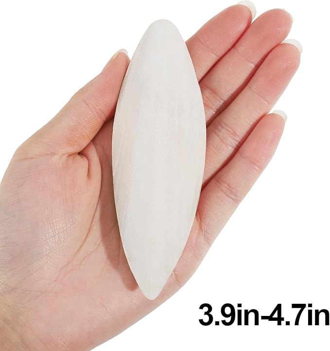 6 Pcs Natural Cuttlebone Parakeets Pure Cuttlebone Calcium Stone for Tortoise Parakeets Canaries Cockatiels Turtles Cockatiel 9.5-10.4cm/3.7-4 inch
