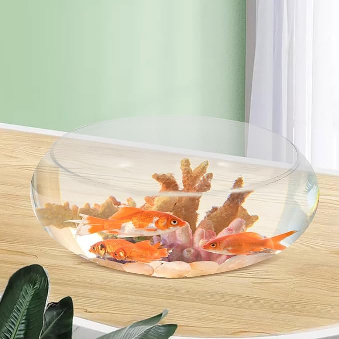 VOSAREA Clear Glass Fish Bowl 9.84 X 9.84 X 3.93 in Shallow Fish Tank Desktop Glass Flowerpot Aquatic Plant Bowl for Goldfish Hydroponic Vase Home Office Garden Wedding Decor