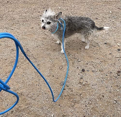 Piggy Poo and Crew 12 Foot Mini Pig Harness Adjustable Harness & Leash for Animals Pigs Ferrets Rabbits Guinea Pigs Dogs Cats Reptile Rodents Small Animals (Blue)