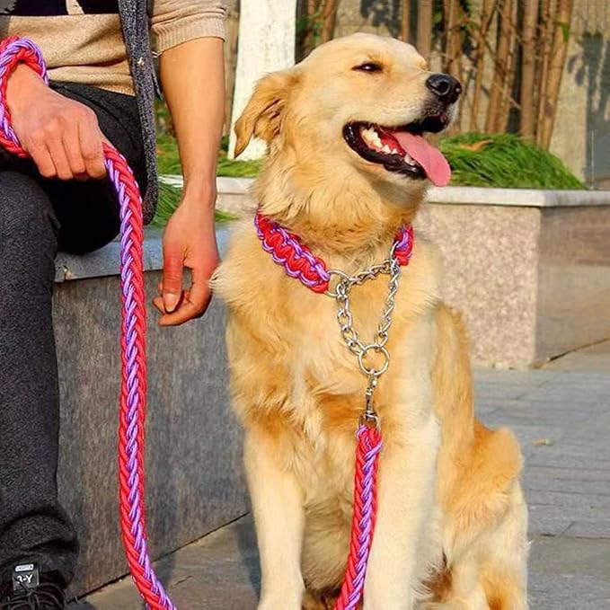 Love Dream Dog Collar and Leash Set, Heavy Duty Nylon Braided Rope Strong 4 FT Dog Leash and Martingale Training Collar for Small Medium Large Dogs Training and Walking (Purple & Pink)