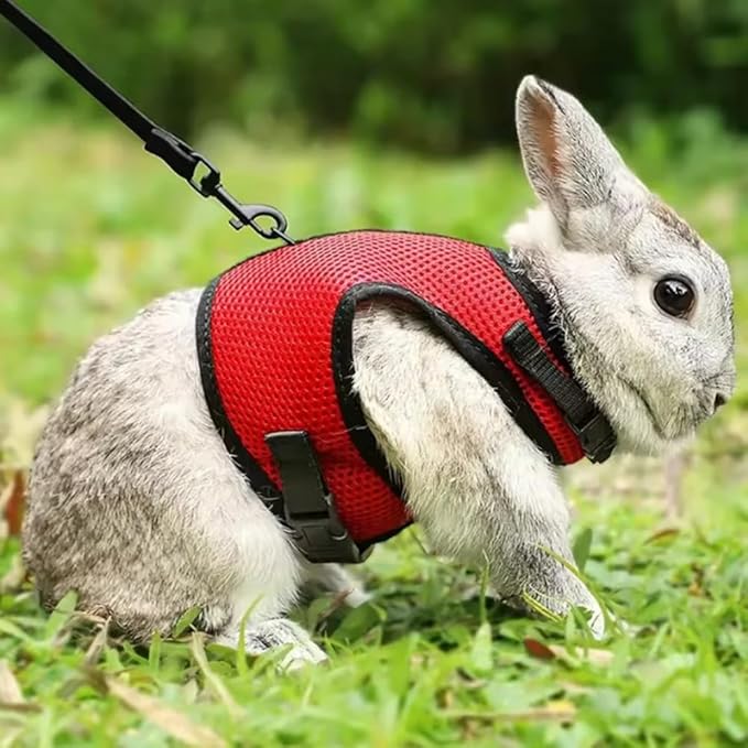 Bunny Harness with Leash Escape Proof,Soft Rabbit Mesh Vest Adjustable Buckle for Ferret Guinea Pig Hamster Walking Small Animal Pets Rat, Red L