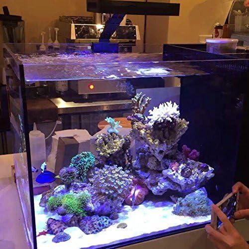 Aquarium Light –5rd AquaKnight A029 Aquarium LED Light 30 Watts Saltwater Light with Sunrise Sunset Moonlight, 5W LED Chips for Coral Reef Nano Fish Tank Marine Tanks with Timer & Screen
