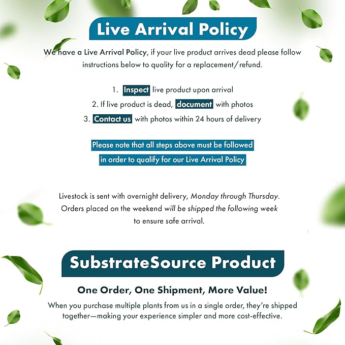 Anubias Live Aquarium Plants - Potted Freshwater Plant for Fish Tanks, Terrariums - Beginner Friendly Low Light (Nana Petite, 3 Pots)