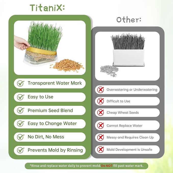 Hydroponic Cat Grass Grow Kit with 5 Pack Non GMO Wheat Seeds, Cat Grass for Indoor Cats, Organic Grass Growing Kit, Soil-Free Planter, Perfect for Beginners, Cats Gifts