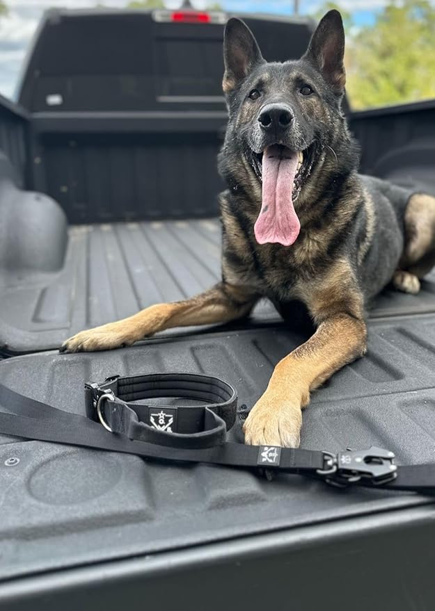 Operation Good Boy Tactical Dog Collar – Heavy Duty Military-Grade Nylon with Quick Release Buckle & Training Handle – Adjustable for Medium and Large Dogs (Green)