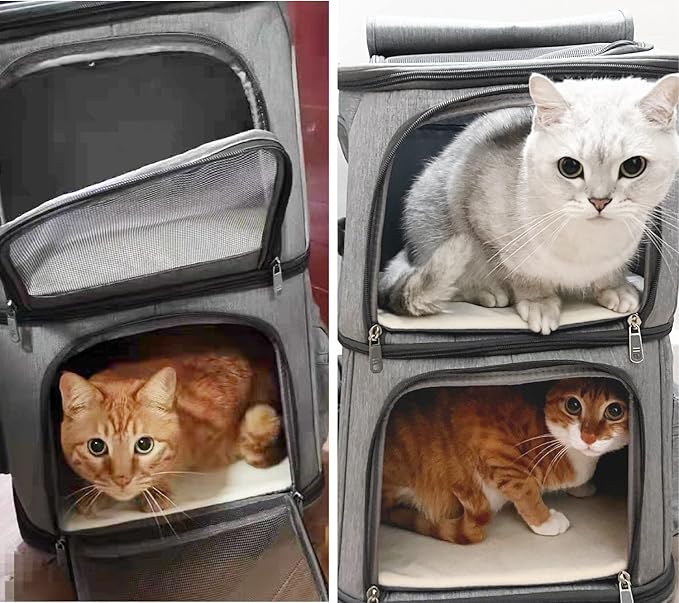 Double Cat Carrier, Cat Backpack Carrier for 2 Cats, Multi Dog Backpack, Two Cat Carrier with 7 Ventilation Windows, Built-in Frame and Support Plate, Safety Straps, Collapsible, Perfect for Travel
