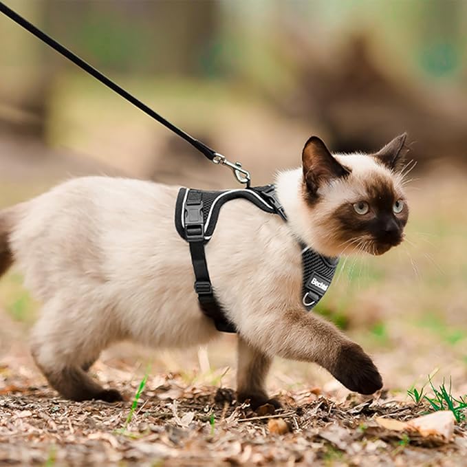 Cat Harness, Cat Harness and Leash for Walking, Adjusted in Four Directions and Breathable Cat Harness for Anti Escape that can be Fitted and Positioned, Reflective Strips Harness, Black, M