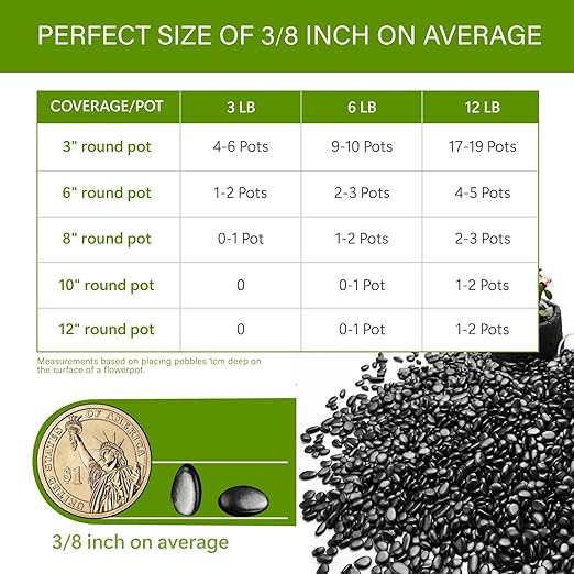 NUPICK 6lb River Rocks for Plants Indoor, 3/8 Inch Black Pebbles for Vases Fillers, Decorative Pea Gravel for Fish Tank, Natural Polished Stones for Succulent, Bonsai, Landscaping, Bird Baths