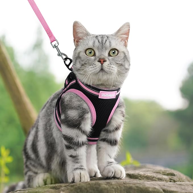 rabbitgoo Cat Harness and Leash Set for Walking Escape Proof, Adjustable Soft Kittens Vest with Reflective Strip for Cats, Comfortable Outdoor Vest, Black & Pink, M