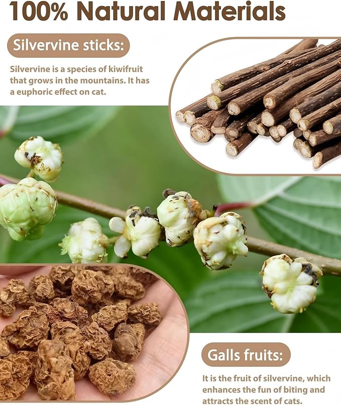 Natural Catnip Silvervine Sticks for Cats, 100% Organic Gall Fruit Mixed Chew Toys for Teeth Cleaning, Potent Cat Treats for Indoor Cats Boredom Relief & Digestive Health, 10 Count